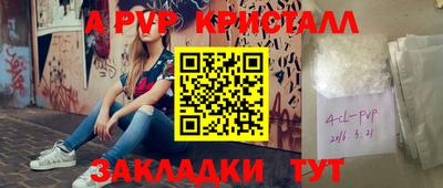 стаф Камышлов